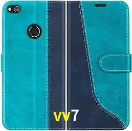 Recursos de Bônus vv7